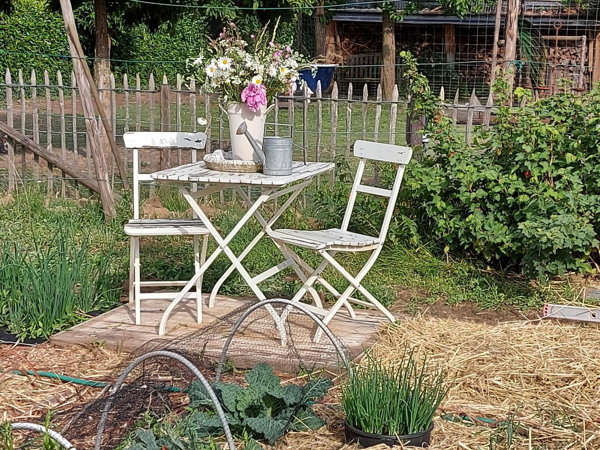 Bed and Breakfast Widdingenhof Wellen Exterior foto